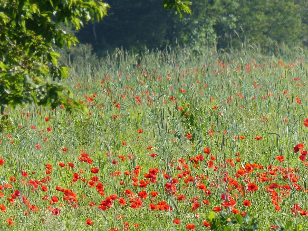Вилла Au Ptit Coquelicot Уйе Экстерьер фото